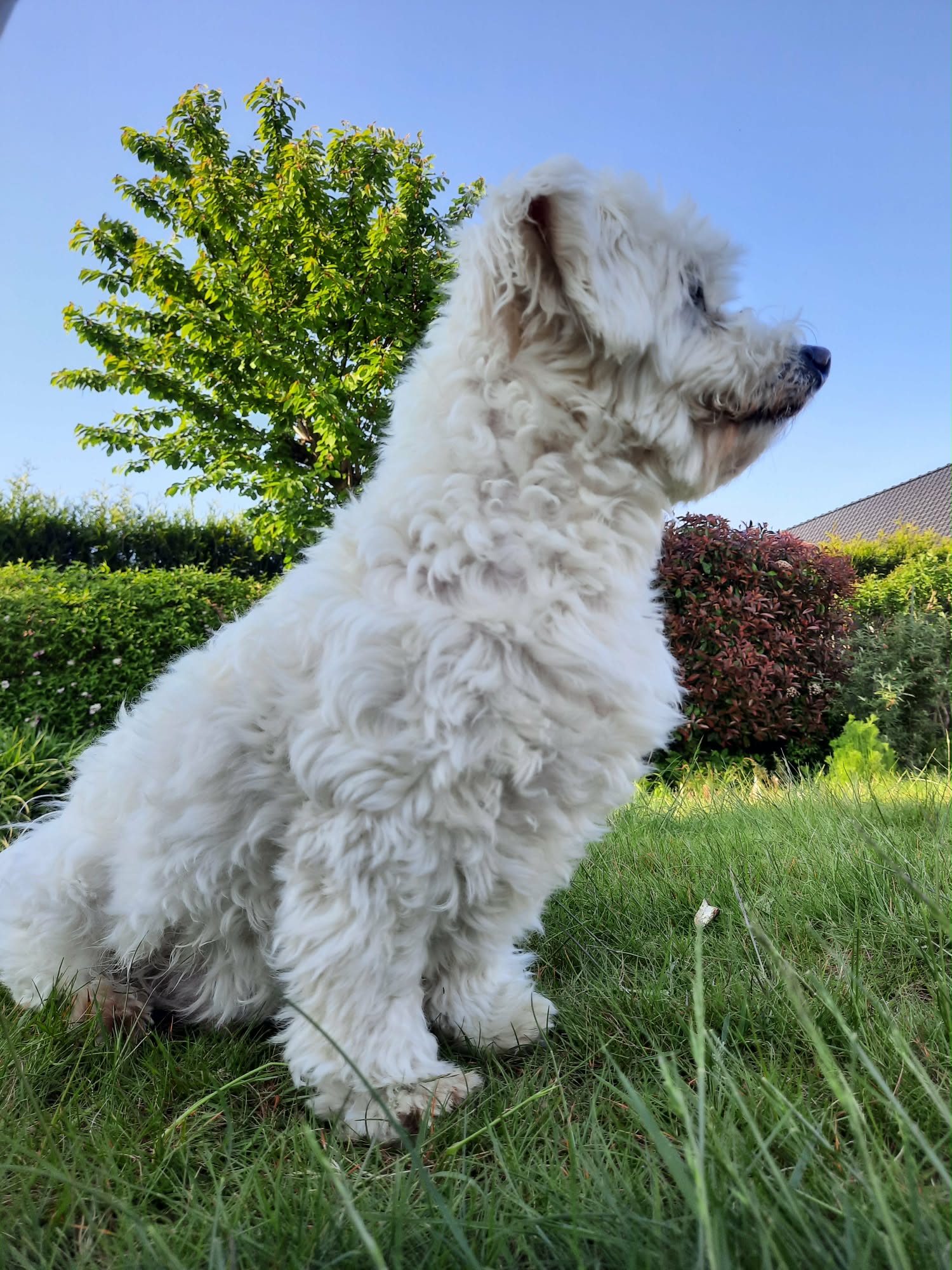 Fons zit ontspannen in het gras
